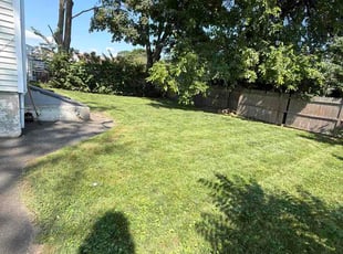 Kristy B.'s turf maintenance service result