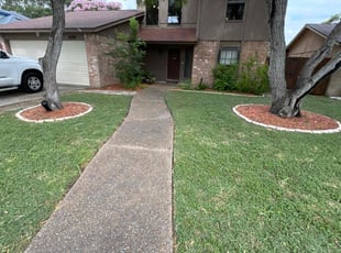 Ebony V.'s lawn service service result