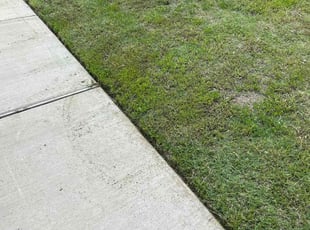 Ann D.'s turf maintenance service result