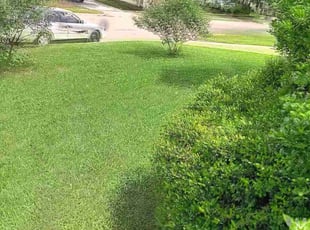 Samuel B.'s grass maintenance service result