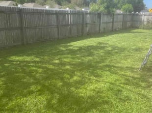 Luke W.'s lawn maintenance service result
