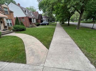 Tarra J.'s lawn care services service result