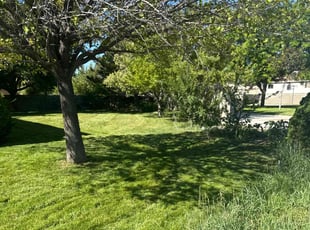Madelyn G.'s lawn care service result