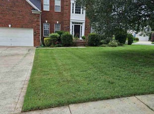 Joshua R.'s grass cutting service result