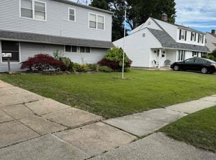 Rhonda N.'s turf care service result