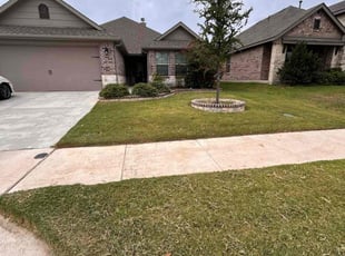 Rhonda P.'s turf maintenance service result