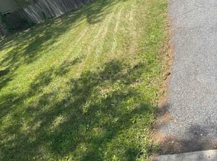 Joshua Q.'s lawn maintenance service result