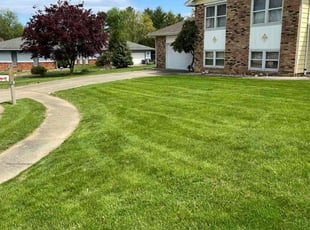 Vanliencia B.'s lawn care service result