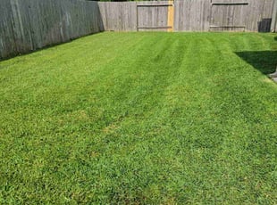 Angela M.'s turf care service result