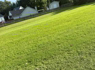Kevin M.'s lawn service service result