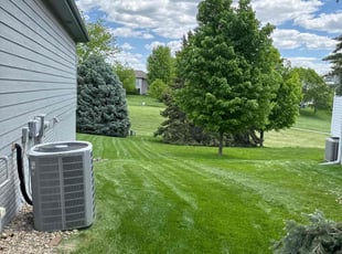 Mike L.'s turf care service result