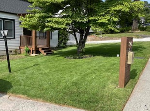 Catina L.'s turf maintenance service result