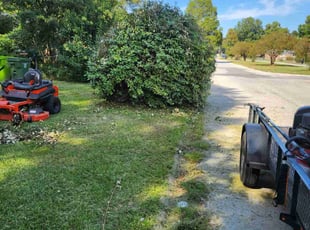 Marty C.'s Bush Trimming service result