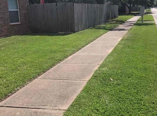 Candace J.'s grass maintenance service result