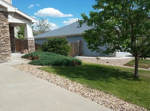 Wilmyr P.'s Bush Trimming service result