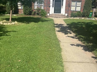 Alyssa P.'s lawn care service result