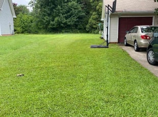 Carrie P.'s grass cutting service result