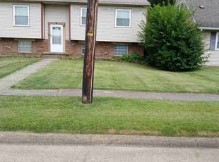 Terry H.'s turf care service result