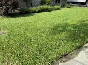 Elizabeth H.'s lawn care services service result