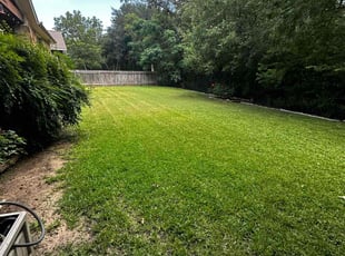 Elizabeth B.'s lawn service service result