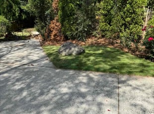 Michelle M.'s lawn maintenance service result