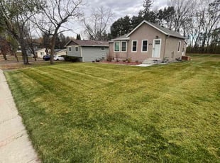 Bailey T.'s Leaf Removal service result