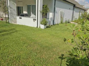 Jessica X.'s turf care service result