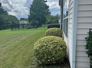 Dominic P.'s Bush Trimming service result