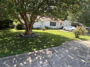 Karyn R.'s turf care service result