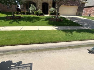 Ade I.'s lawn care services service result