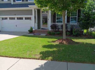 Jacqueline H.'s turf care service result