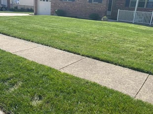 Ryan D.'s lawn care service result