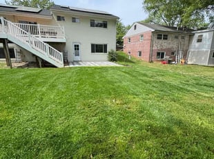 Alyssa S.'s grass maintenance service result