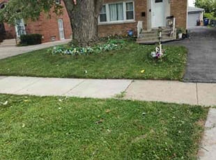 Sabrina B.'s lawn maintenance service result