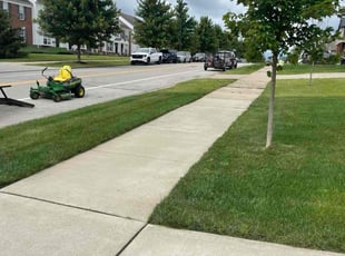 Semone M.'s grass cutting service result