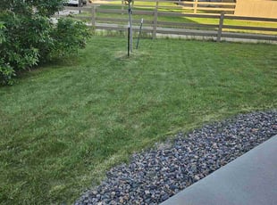 David S.'s turf maintenance service result