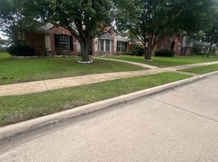 Chris R.'s lawn maintenance service result