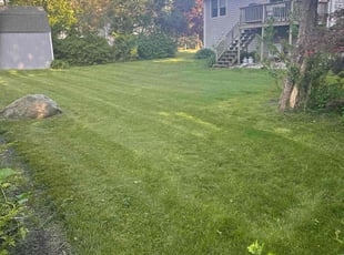 Terry L.'s lawn maintenance service result