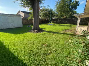 Willie S.'s landscaping services service result