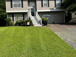 Janierra B.'s turf care service result