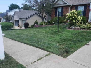 Tiffany A.'s lawn maintenance service result