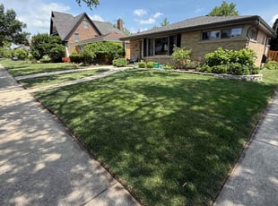 Julia S.'s grass cutting service result