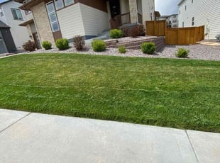 James M.'s grass cutting service result