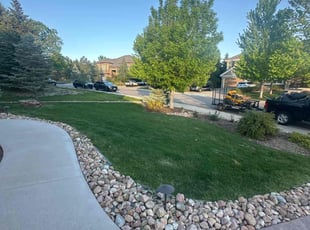 Luann P.'s turf care service result