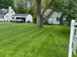 Jennifer B.'s lawn service service result