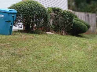 Lisa G.'s Bush Trimming service result
