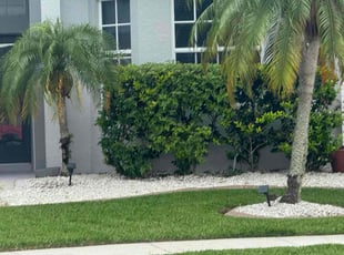 Jenish D.'s Bush Trimming service result