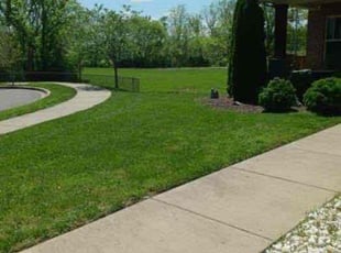 Bethany S.'s lawn care service result