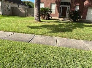 Jack M.'s turf care service result