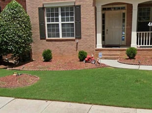 Kelsey M.'s turf care service result